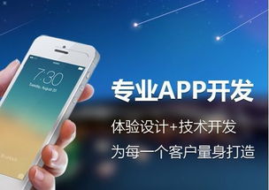 专业软件开发服务 合肥商城APP、生鲜O2O及教育系统定制开发